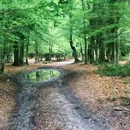 Lägenhet Borbardha Dhe 7 Xhuxhat Tropoje