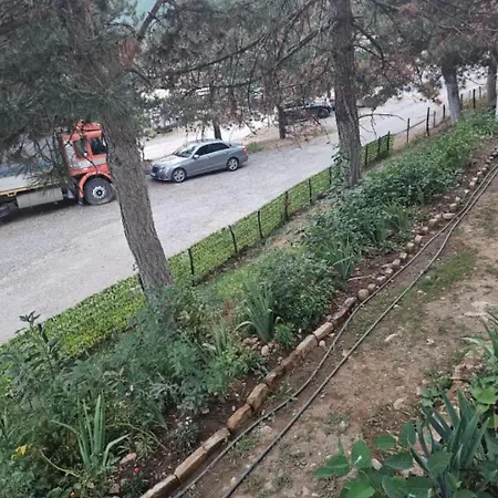 Daire Borbardha Dhe 7 Xhuxhat Tropoje