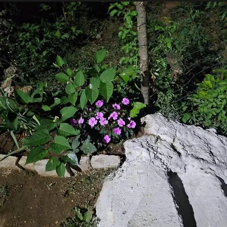 Borbardha Dhe 7 Xhuxhat *