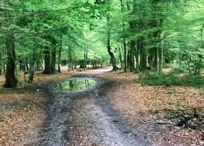 Daire Borbardha Dhe 7 Xhuxhat Tropoje