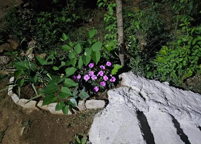 Borbardha Dhe 7 Xhuxhat *