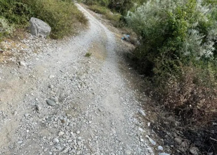 Borbardha Dhe 7 Xhuxhat Daire *